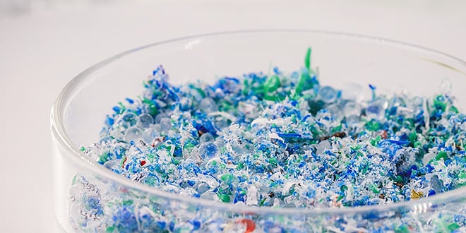 Close-up of a glass petri dish filled with colourful shredded plastic flakes and microplastics, representing sustainable materials and recycling efforts.